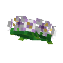 Венок (тропический)